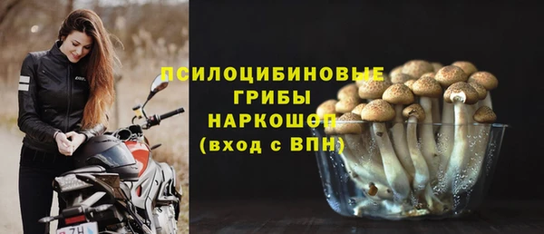 дурь Белоозёрский