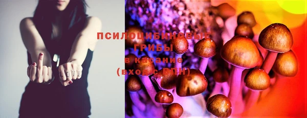 дурь Белоозёрский