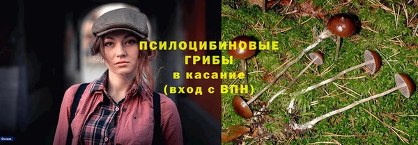 МДМА Богданович