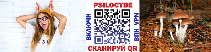 как найти закладки  Бокситогорск  KRAKEN ссылки  Псилоцибиновые грибы Psilocybine cubensis 