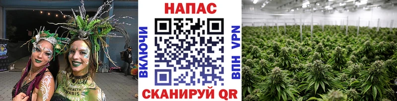 KRAKEN зеркало  Бокситогорск  Марихуана план 